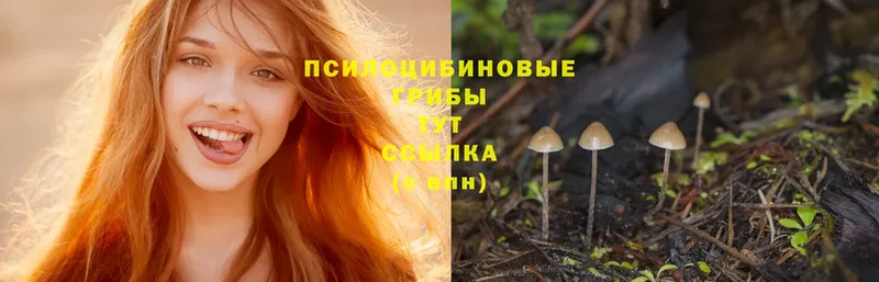 как найти закладки  Вольск  Галлюциногенные грибы Magic Shrooms 